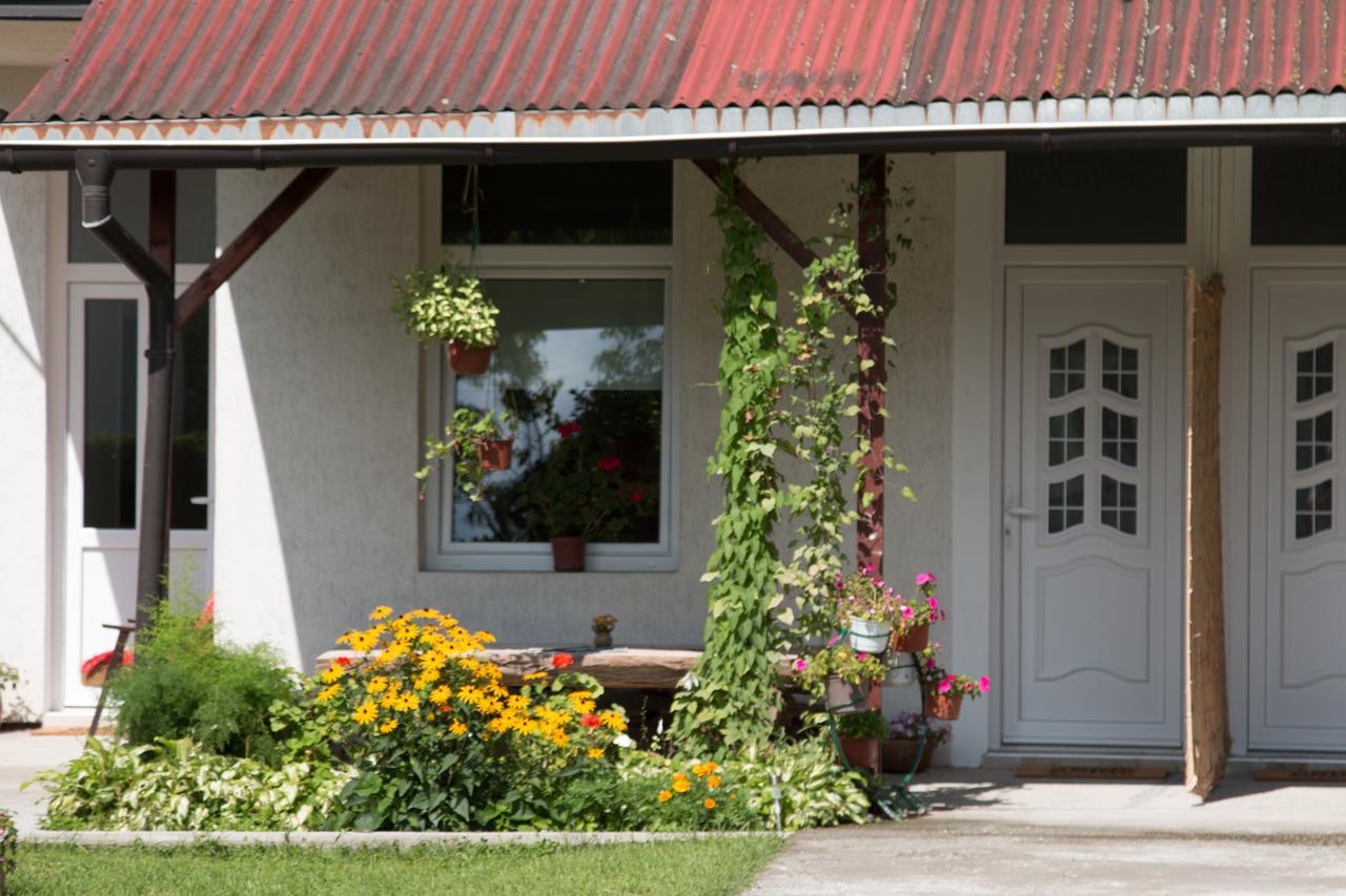 Drina - Bajina Basta Hotel Exterior foto