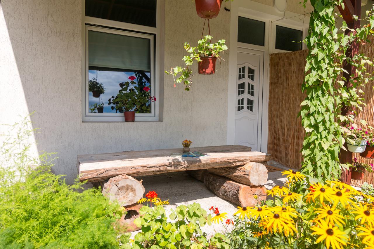 Drina - Bajina Basta Hotel Exterior foto